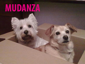 mudanza mudanza.jpg