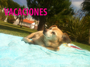vacaciones vacaciones.jpg