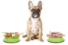 alimentacion natural para perros alimentacion natural para perros.jpg