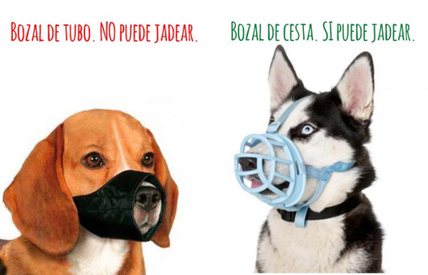 bozal de tela para perro y bozal de cesta bozal de tela para perro y bozal de cesta.jpg